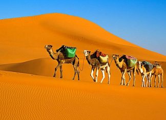 Top 12 Cele mai frumoase deserturi din lume